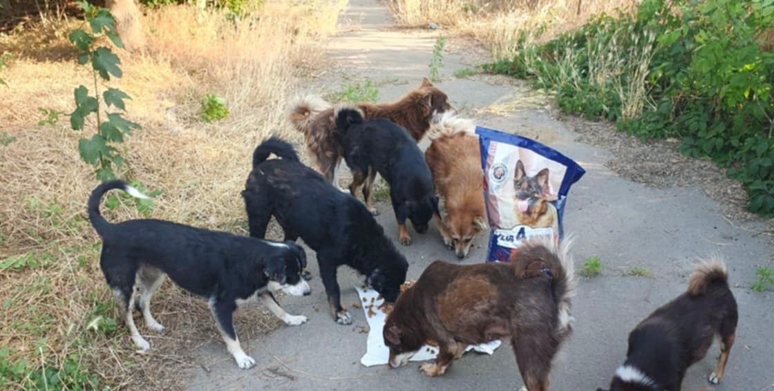 “Together We Made a Difference” – Impact Update