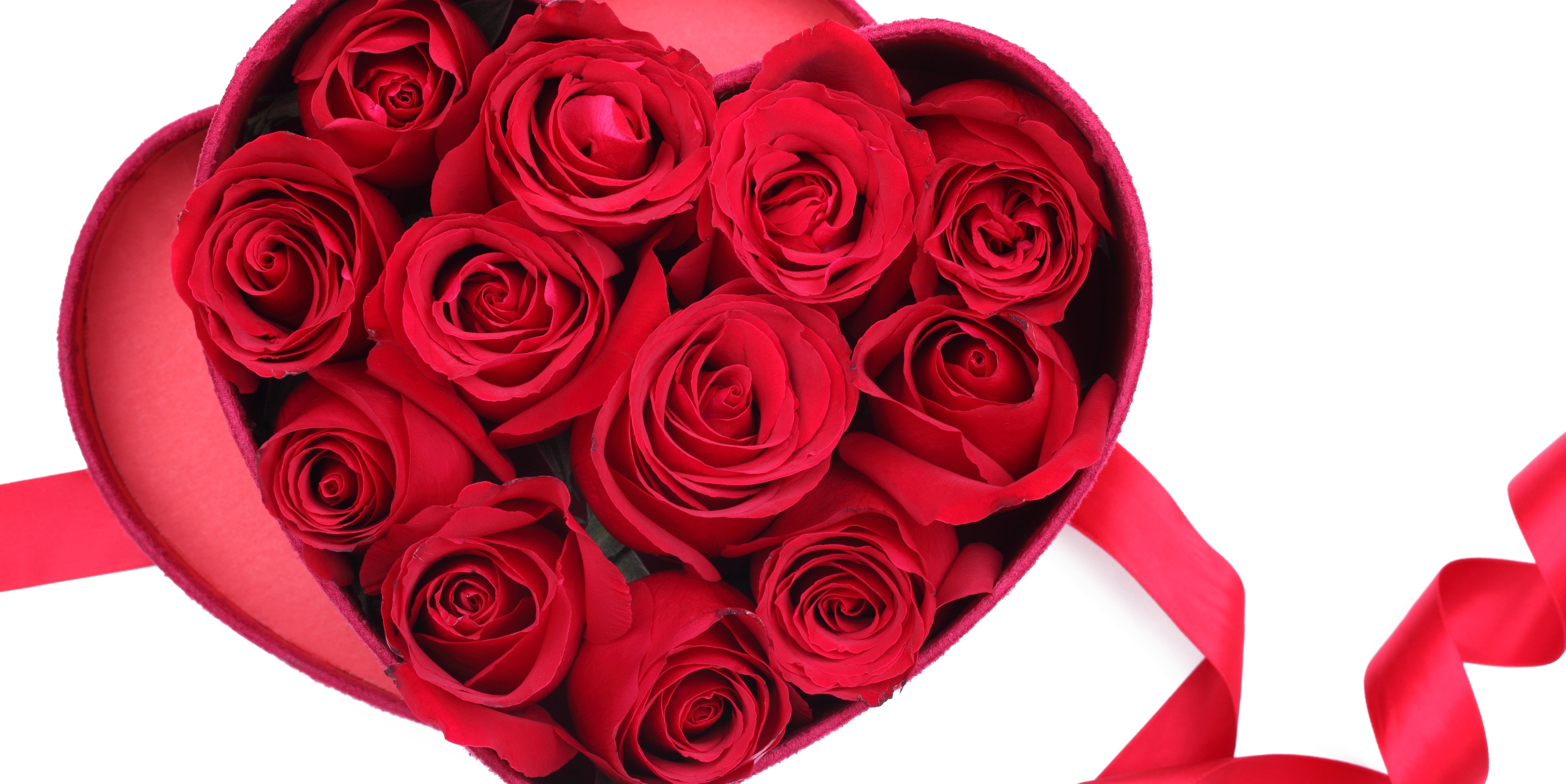 Valentine’s Day in Ukraine vs. Other Countries: What’s Different