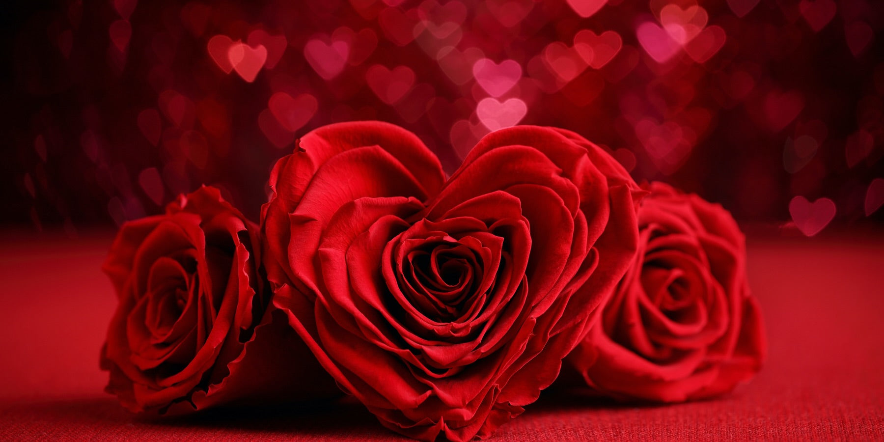 send flowers to Ukraine on Valentine’s Day