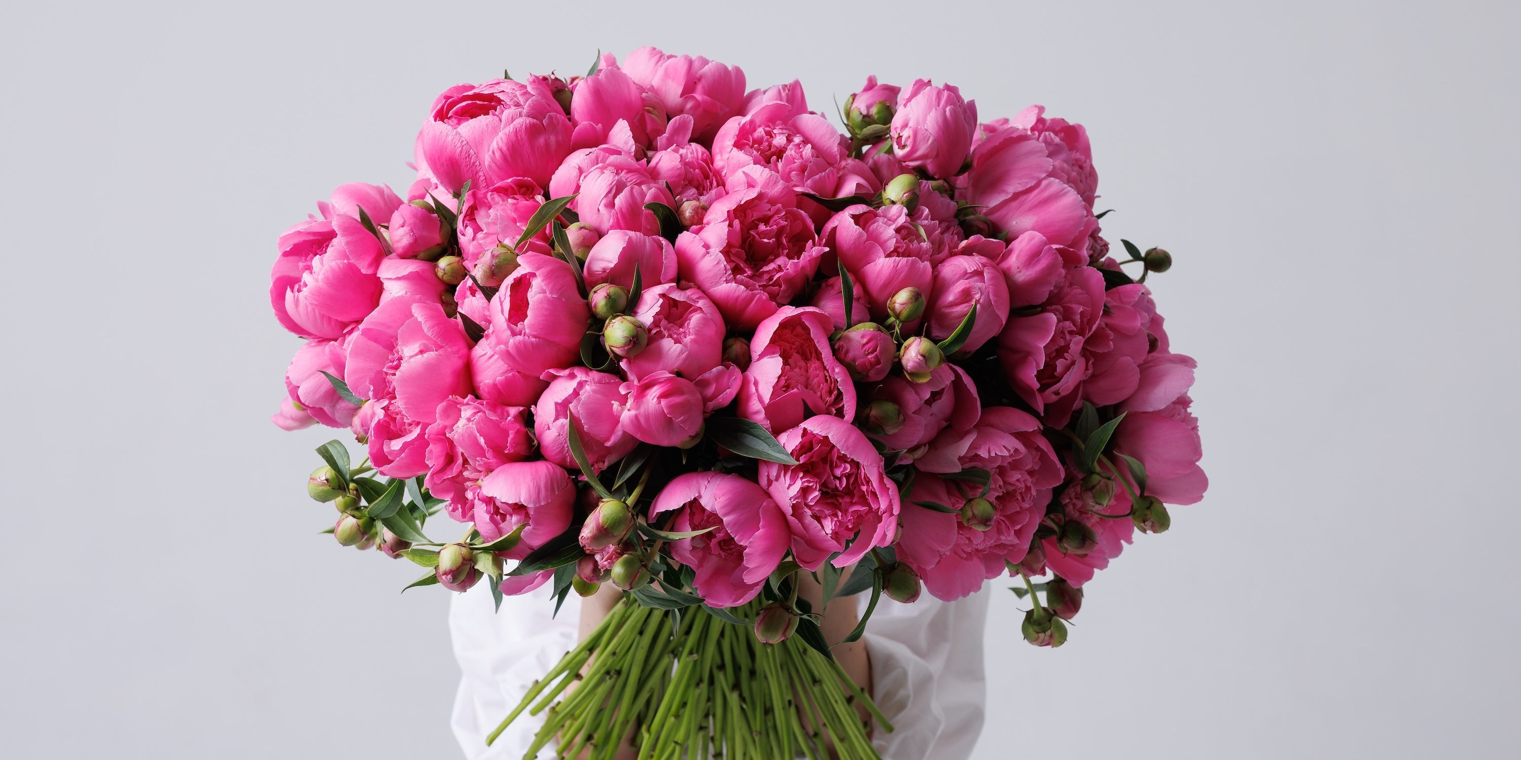 peony flower delivery in Ukraine