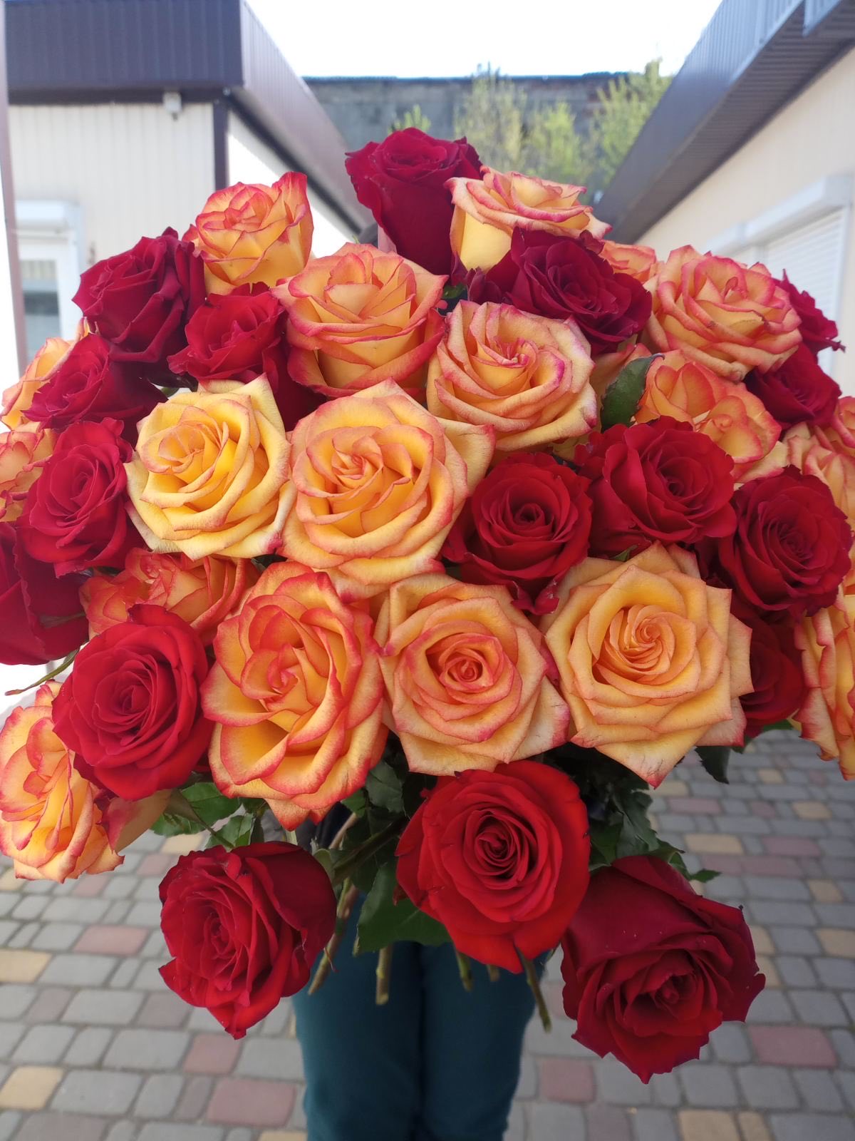 Rose Madly Bouquet – 37 Roses to Ukraine