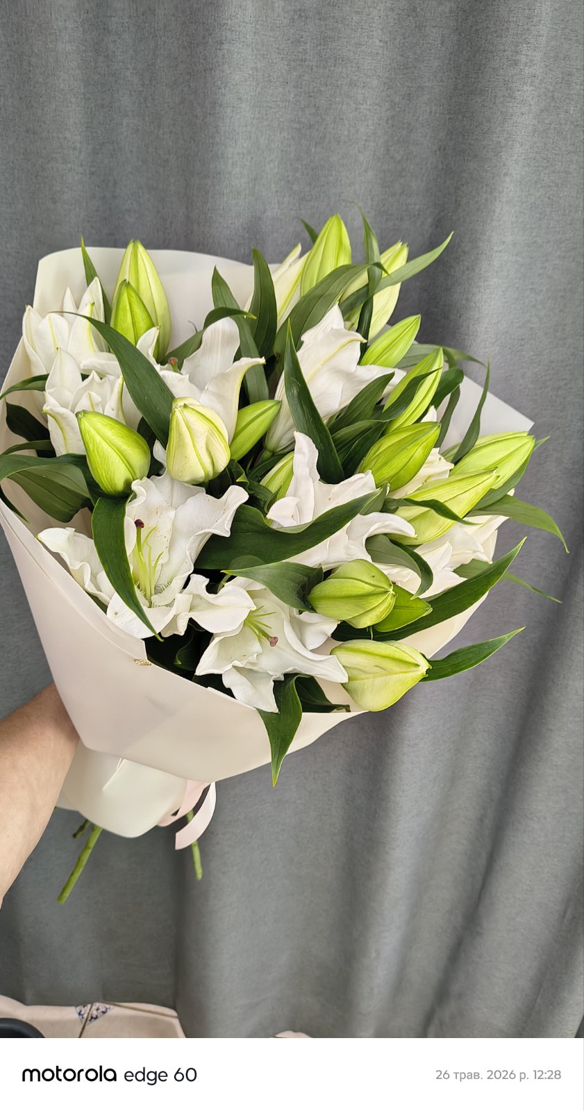 Lovely Lilies
