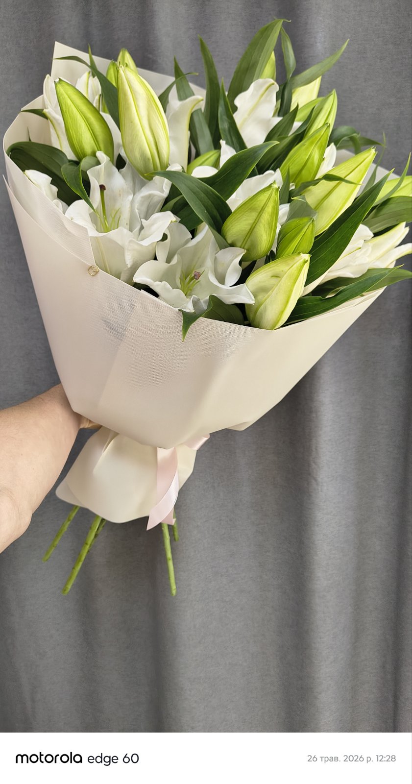Lovely Lilies
