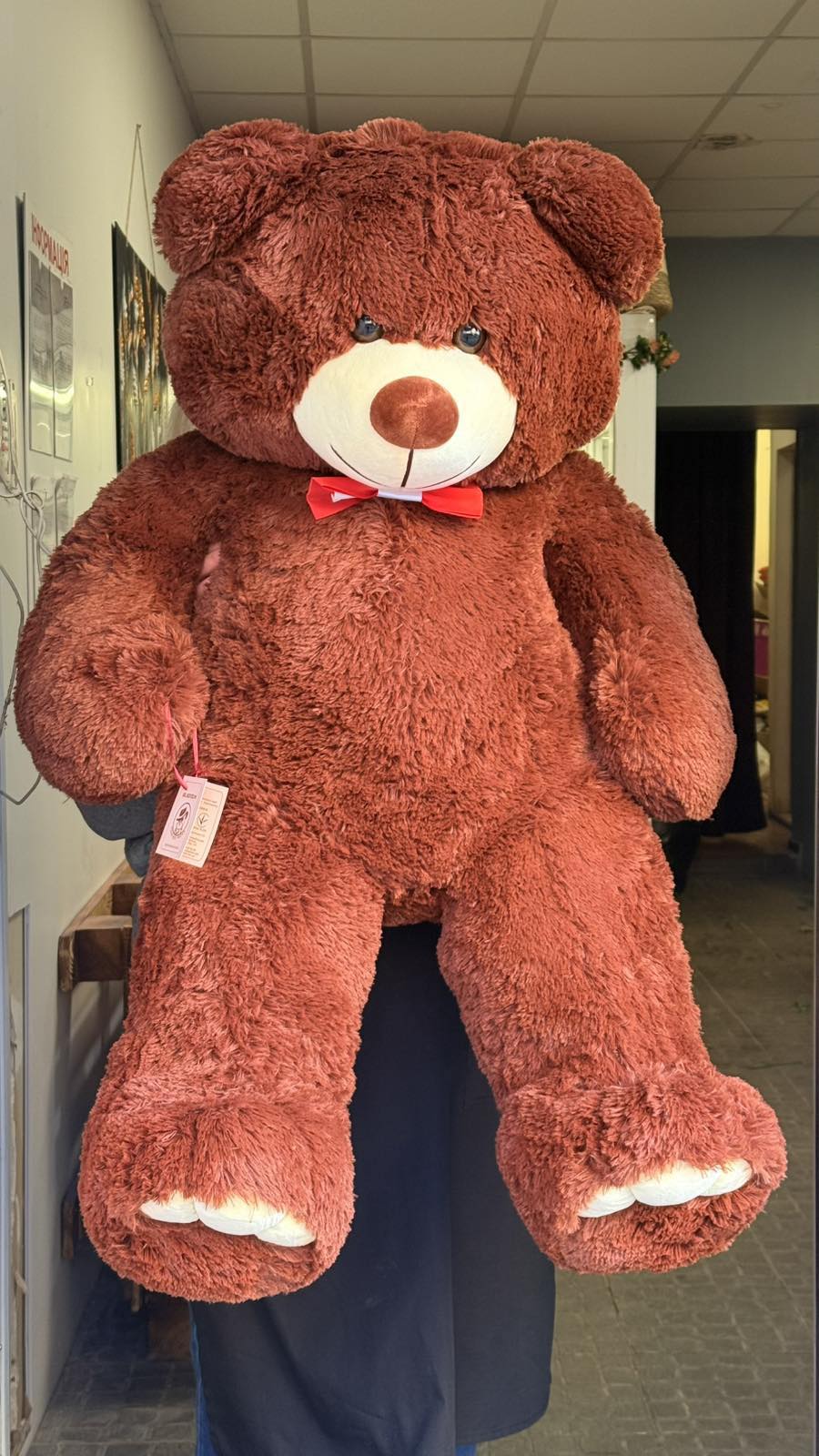 Sweetheart Teddy Bear