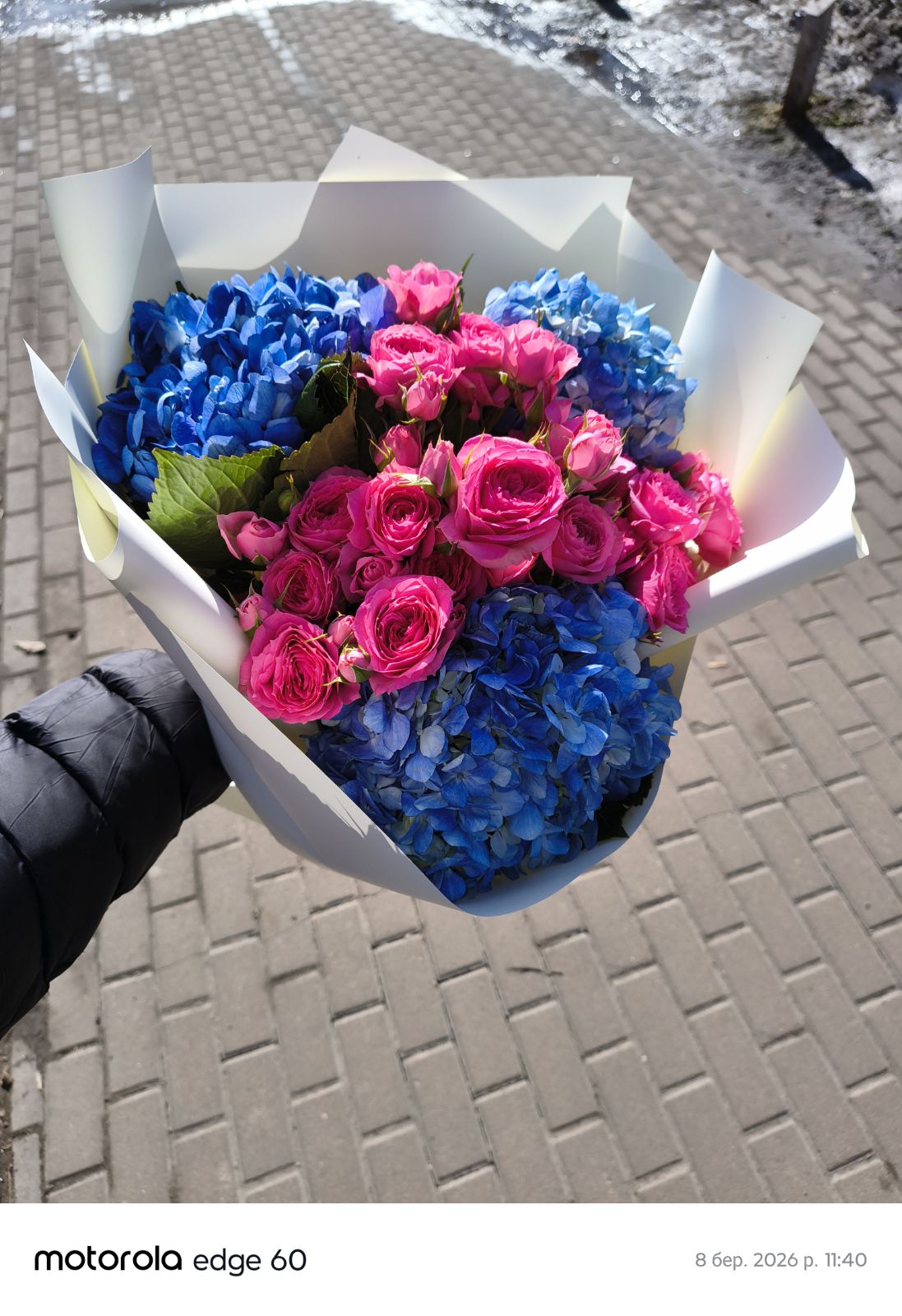 Pink in Blue Hydrangea Arrangement