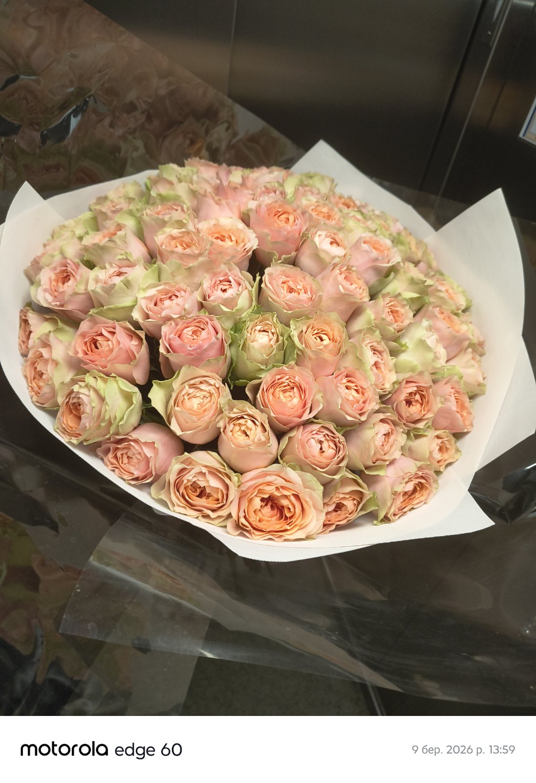 Bouquet Amour des Rois