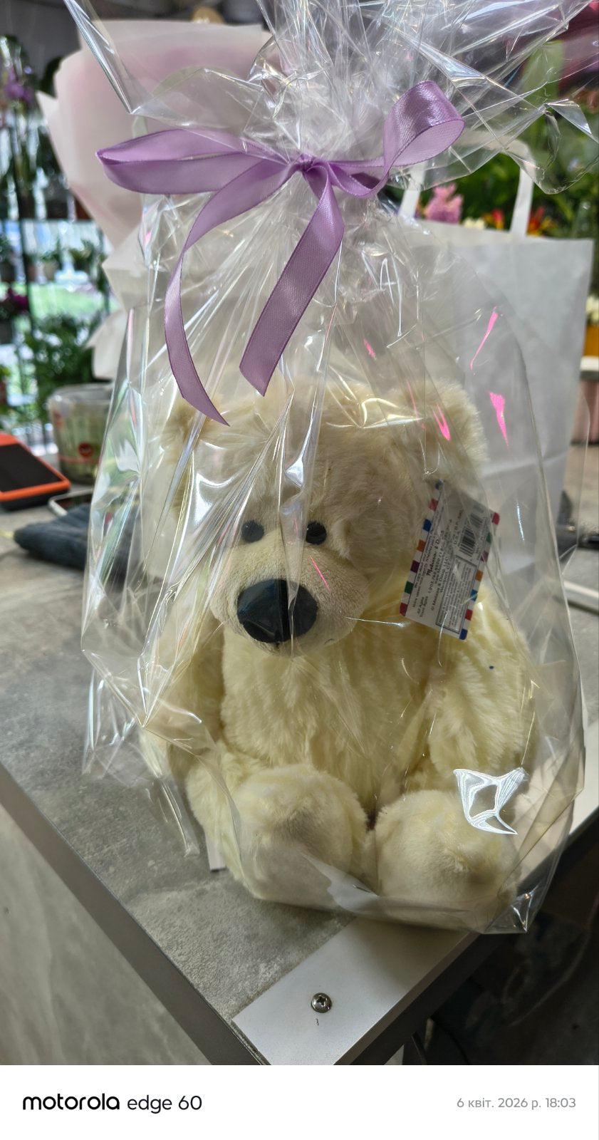 Ours en peluche Blizzard moyen