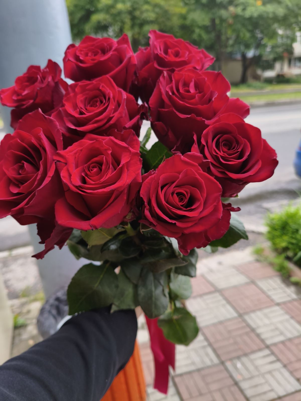 I Love You From Afar – 9 Roses Bouquet Delivery in Ukraine