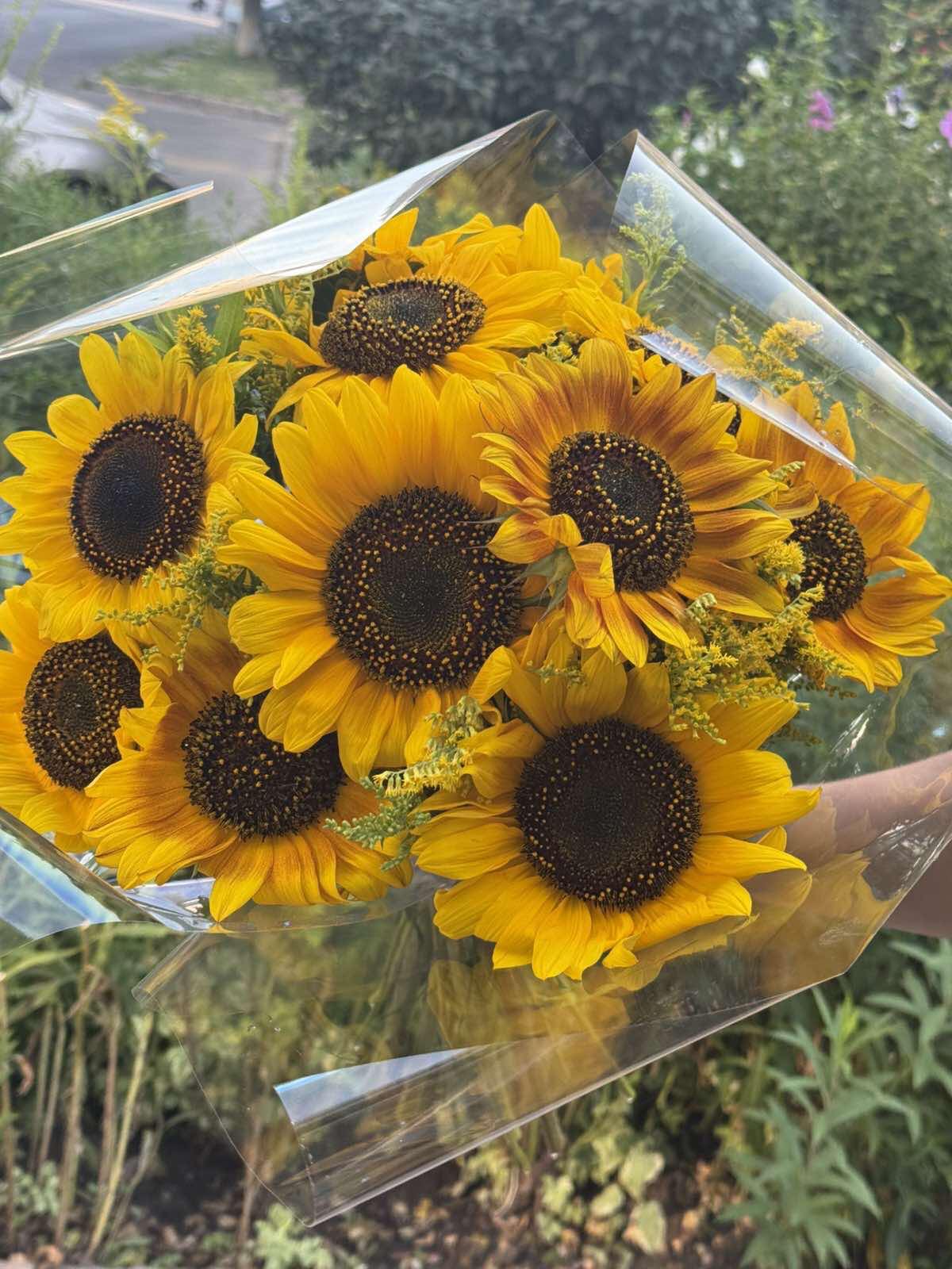 Fresh sunflowers to send to someone special in Ukraine
