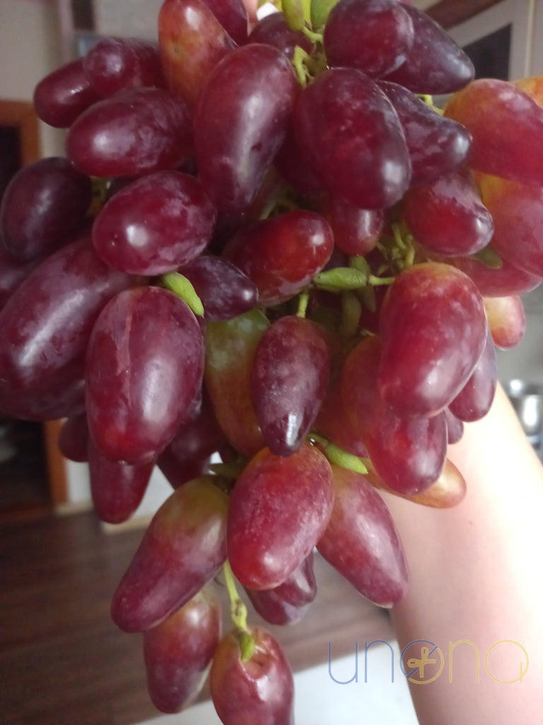 12 Months of Fruit Delivery Gift Baskets