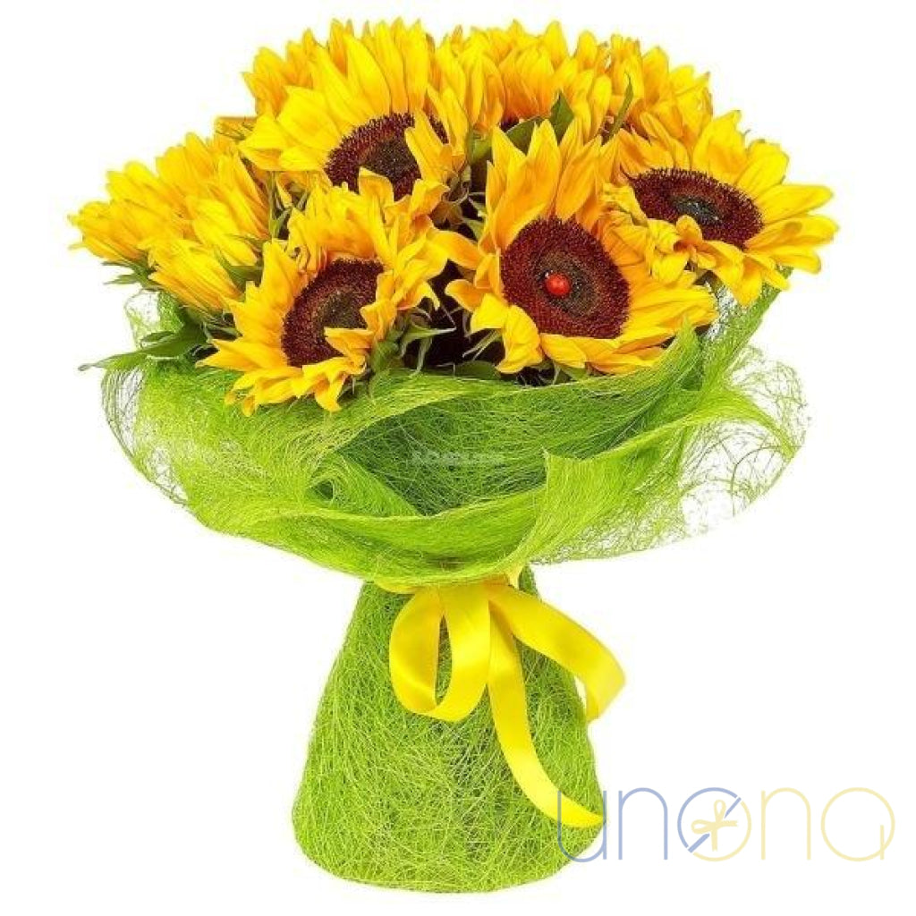 15 fresh sunflower bouquet for delivery in Ukraine