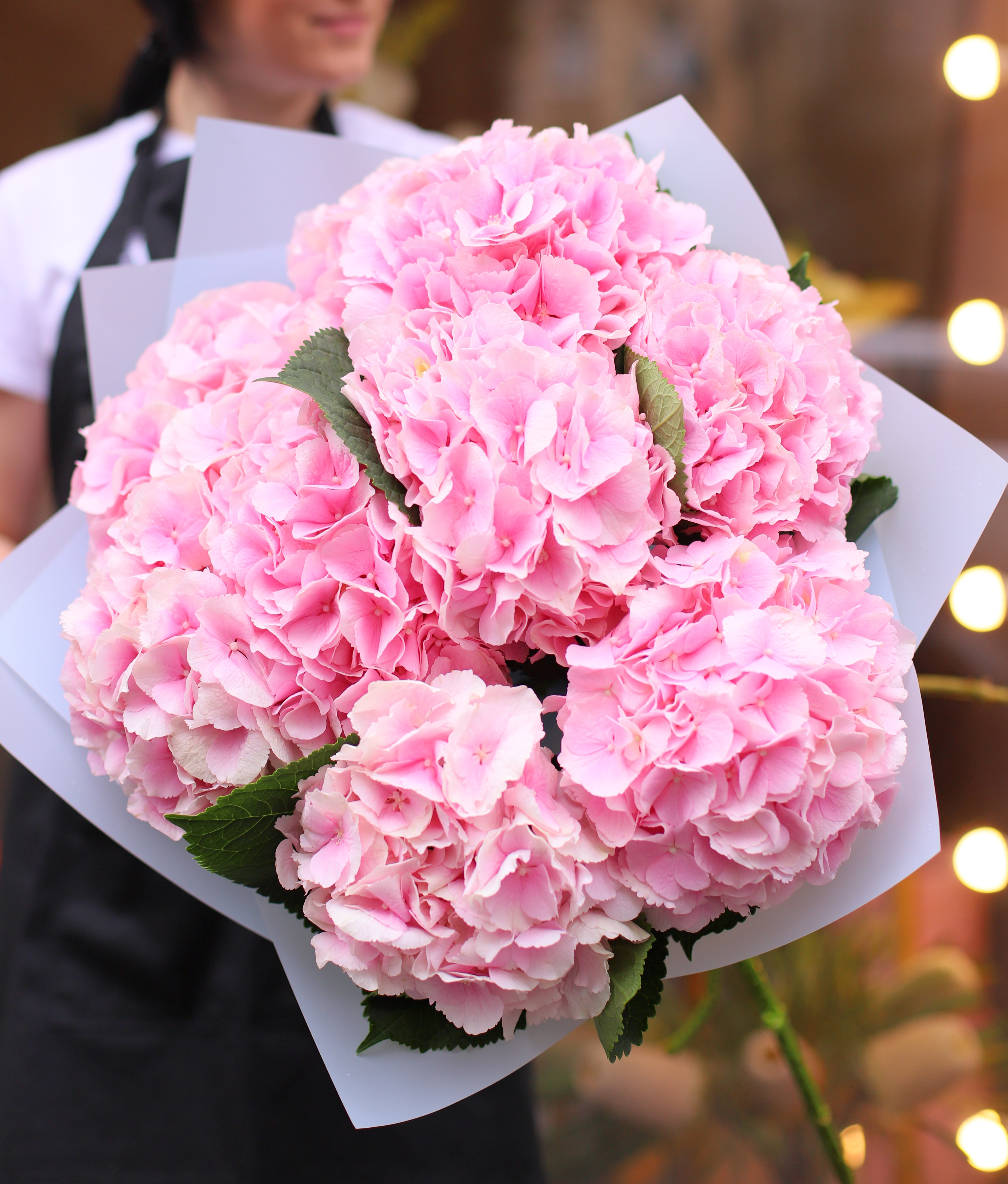 Bouquet of nine pink hydrangea flowers wrapped in elegant paper