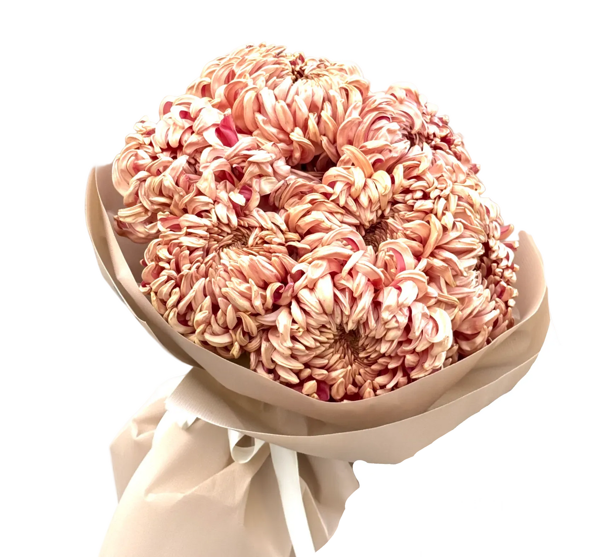 A bouquet of large, layered chrysanthemum-style flowers in soft blush pink, peach, and cream tones, wrapped in beige paper with a white ribbon, set against a plain white background.