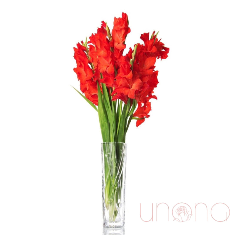 A Bouquet of 11 Gladioluses | Ukraine Gift Delivery.