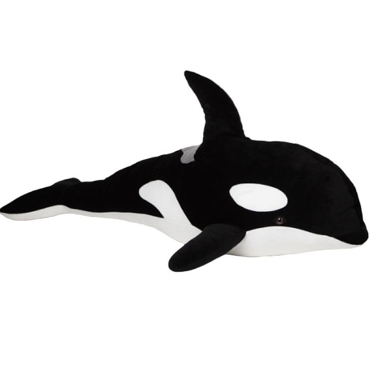 Black & White Orca By Holidays