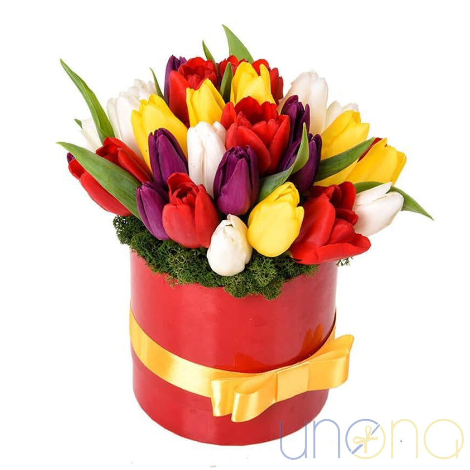 25 multicolored tulips in red hat box delivery Ukraine
