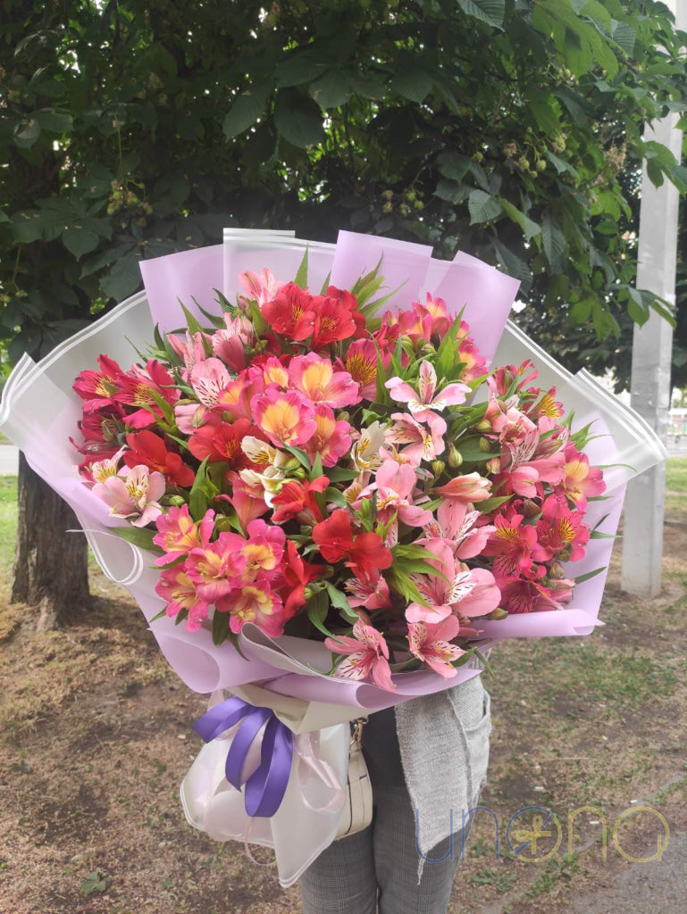 Elegant alstroemerias bouquet with 11 blooms Kharkiv Ukraine