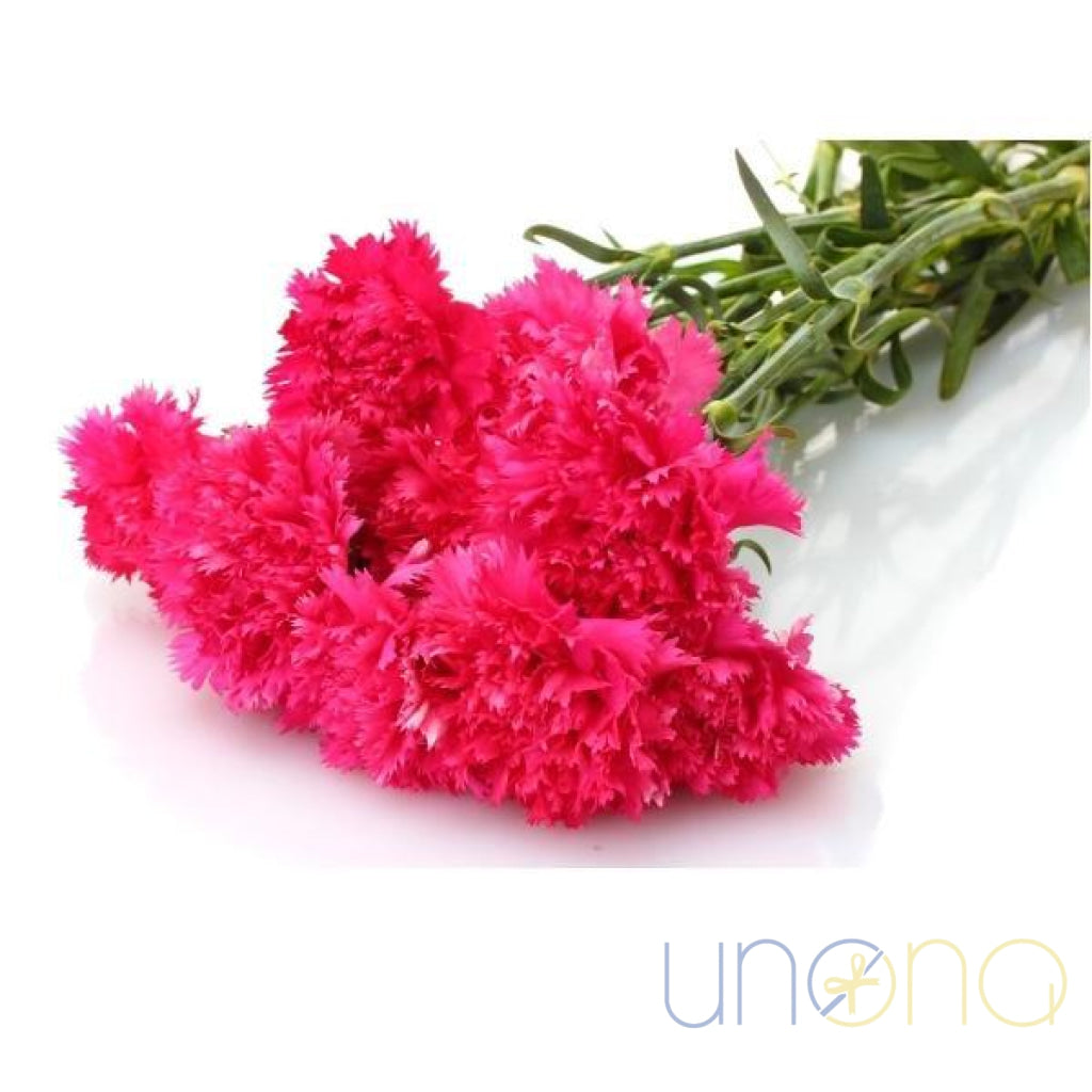 Charming 11 Carnations Bouquet with fresh carnation blooms
