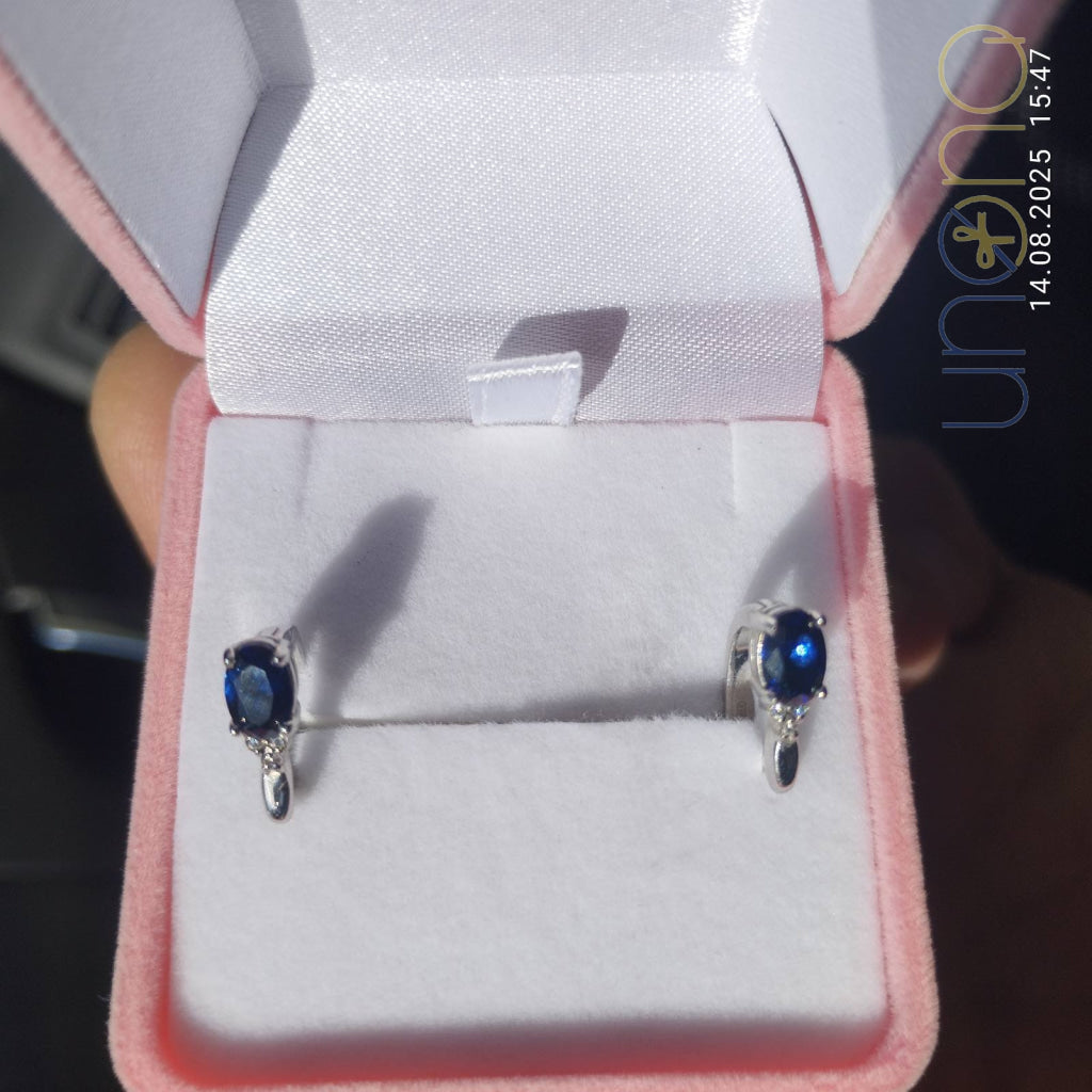 Charming Silver Earrings with Sapphire and Cubic Zirconia Jewelry