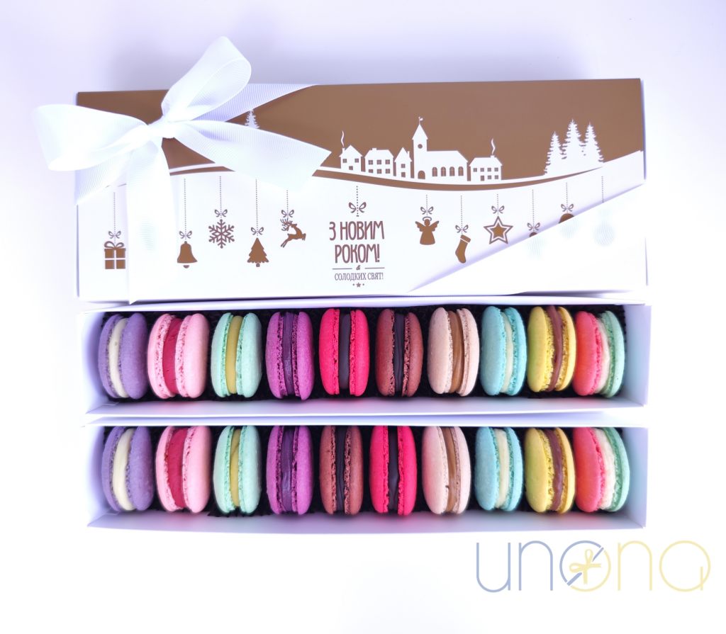 Christmas Macaron Gift Box – Send Christmas Gifts to Ukraine 20 macarons Gift Box