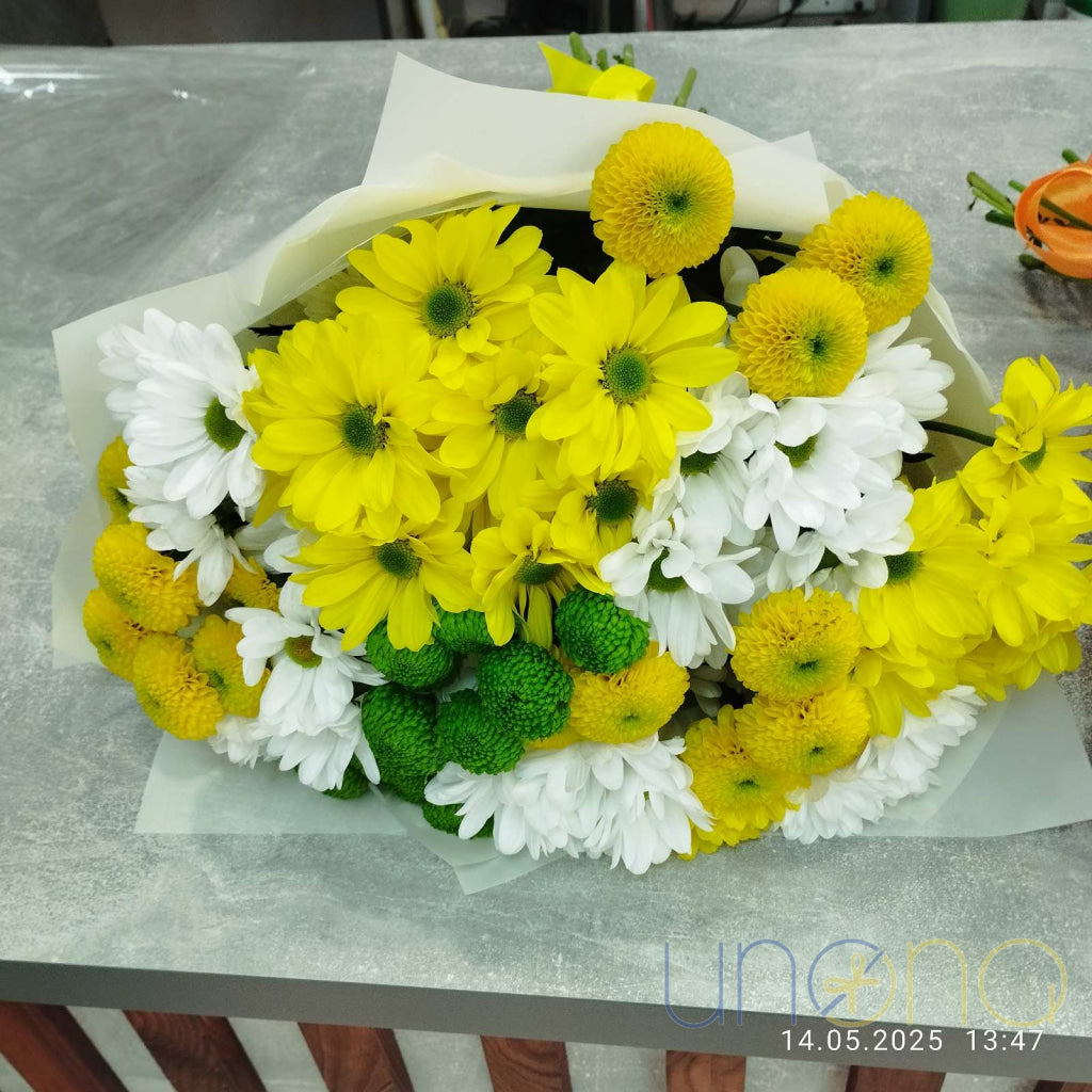 Chrysanthemums and Daisies Bouquet Daisies