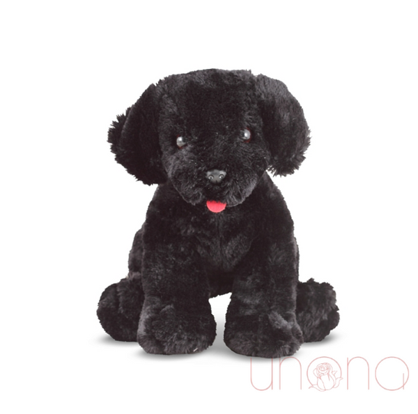 Cute Black Labrador Puppy By Holidays