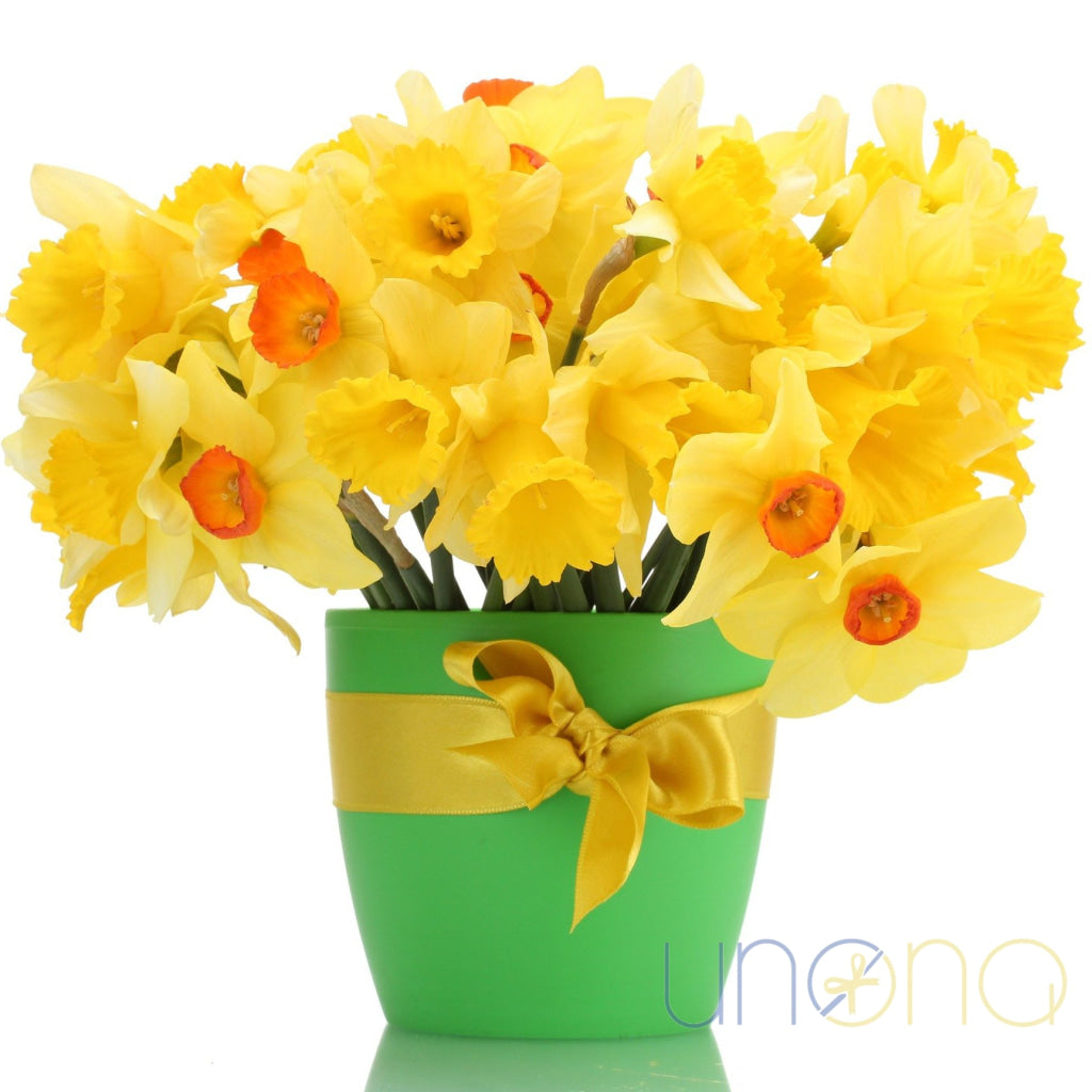 Delightful Daffodils Bouquet | Ukraine Gift Delivery.