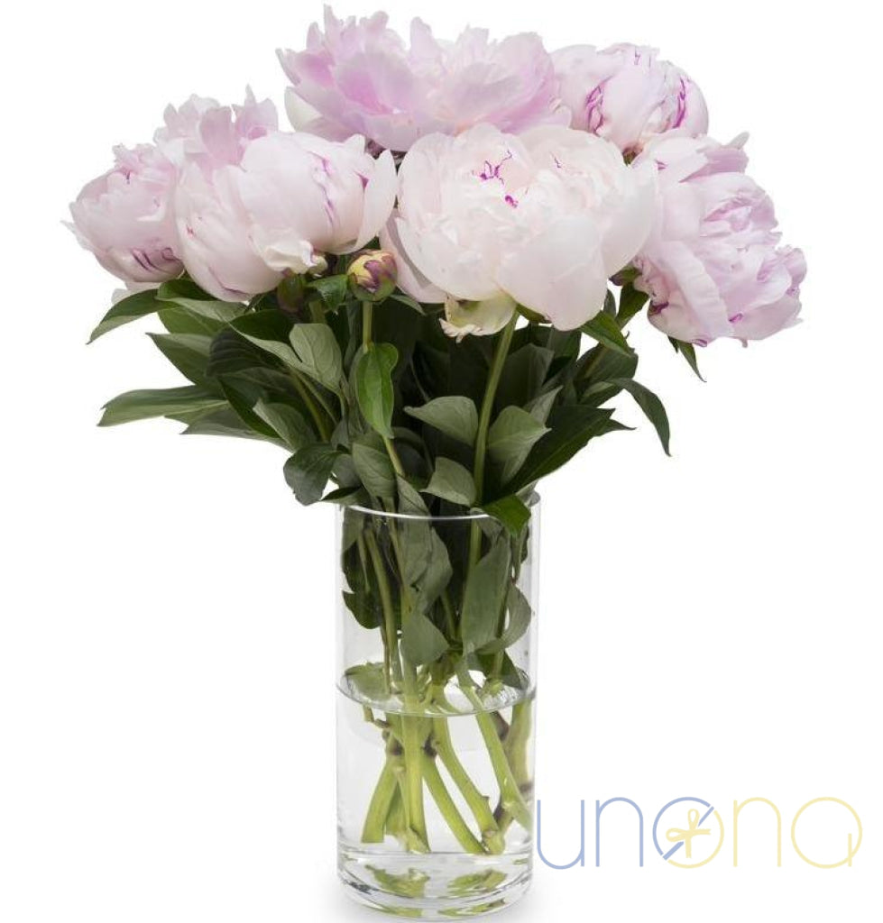 Peony Prince Arrangement – 9 Premium Peonies