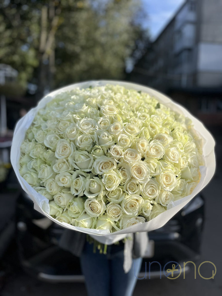 Dream 150 Roses Arrangement Roses