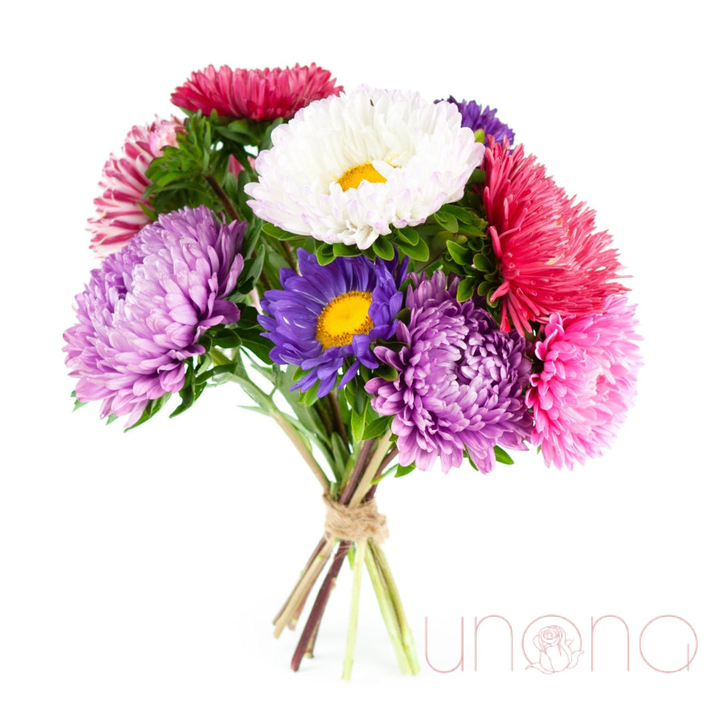 Enchanted Aster Bouquet – multicolored asters delivery in Ukraine
