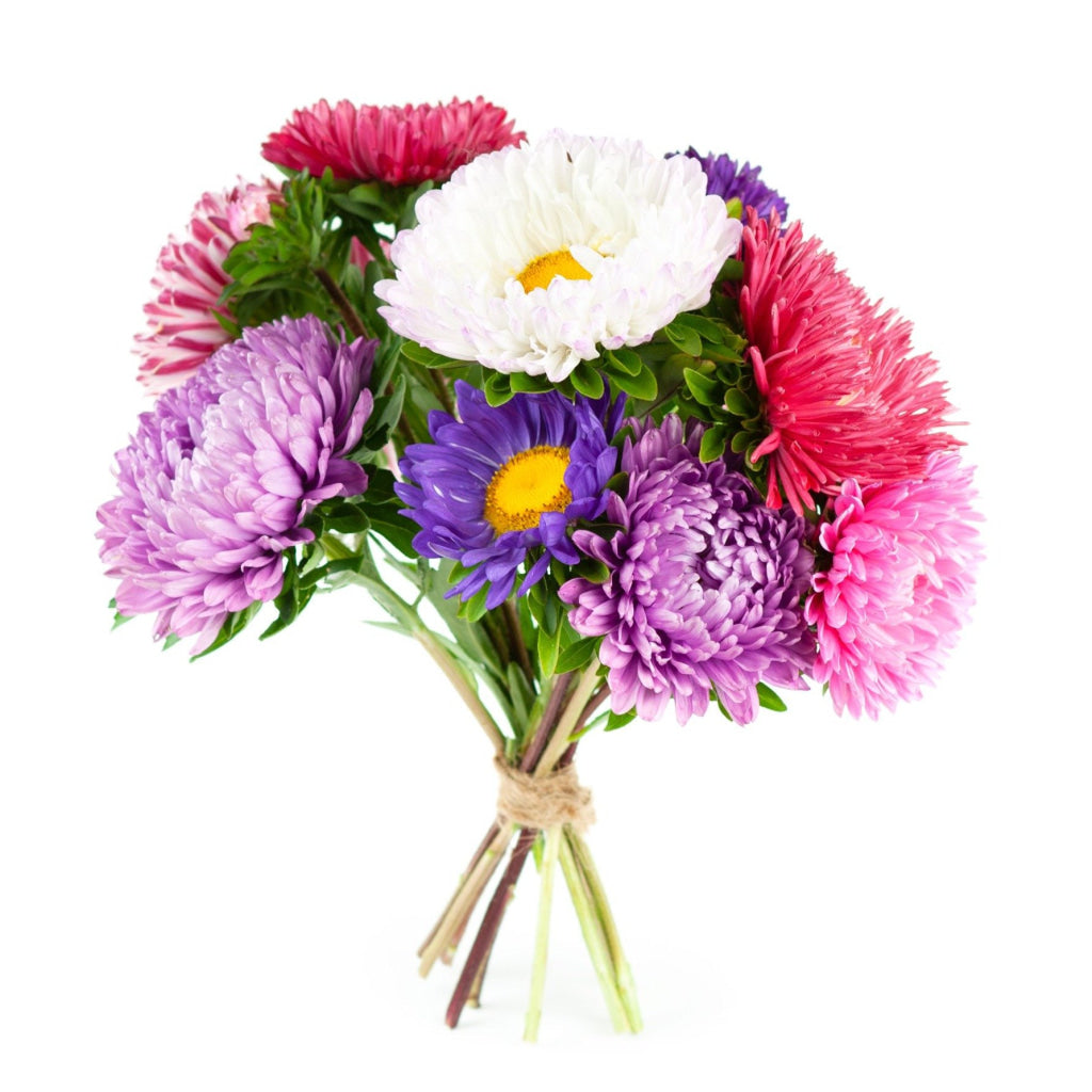 Enchanted Aster Bouquet – multicolored asters delivery in Ukraine