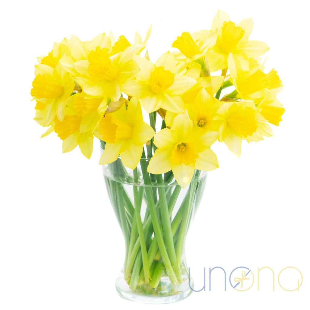 21 yellow daffodils bouquet in glass vase – spring flower delivery Ukraine