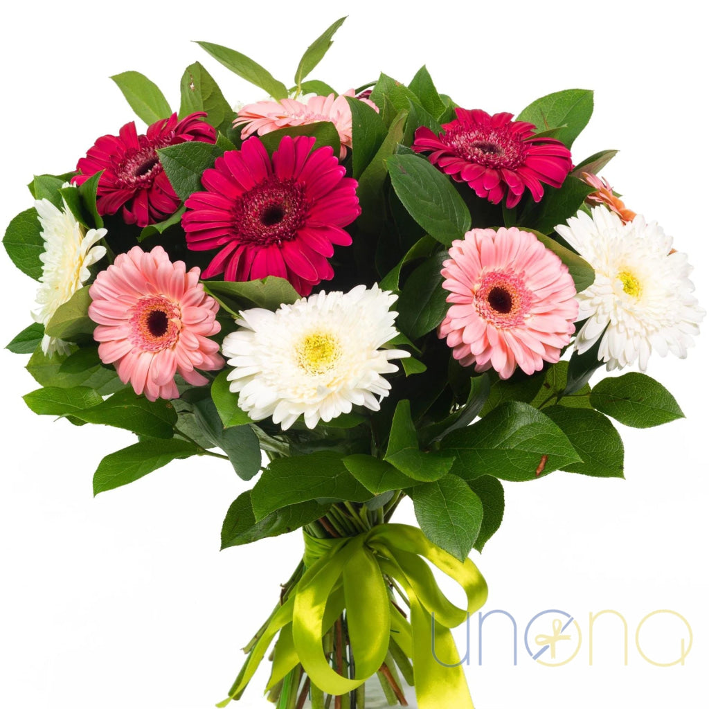 gerbera bouquet Lviv Ukraine 15 gerberas pink white flower delivery Lviv