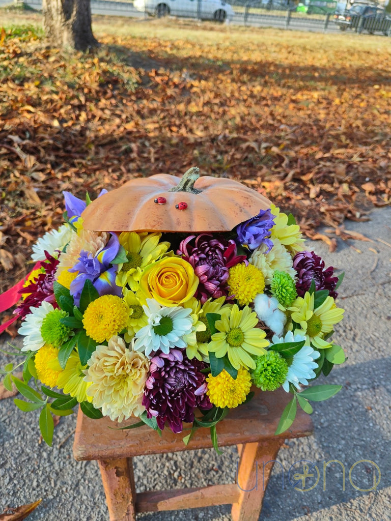 Harvest Pumpkin Flowers