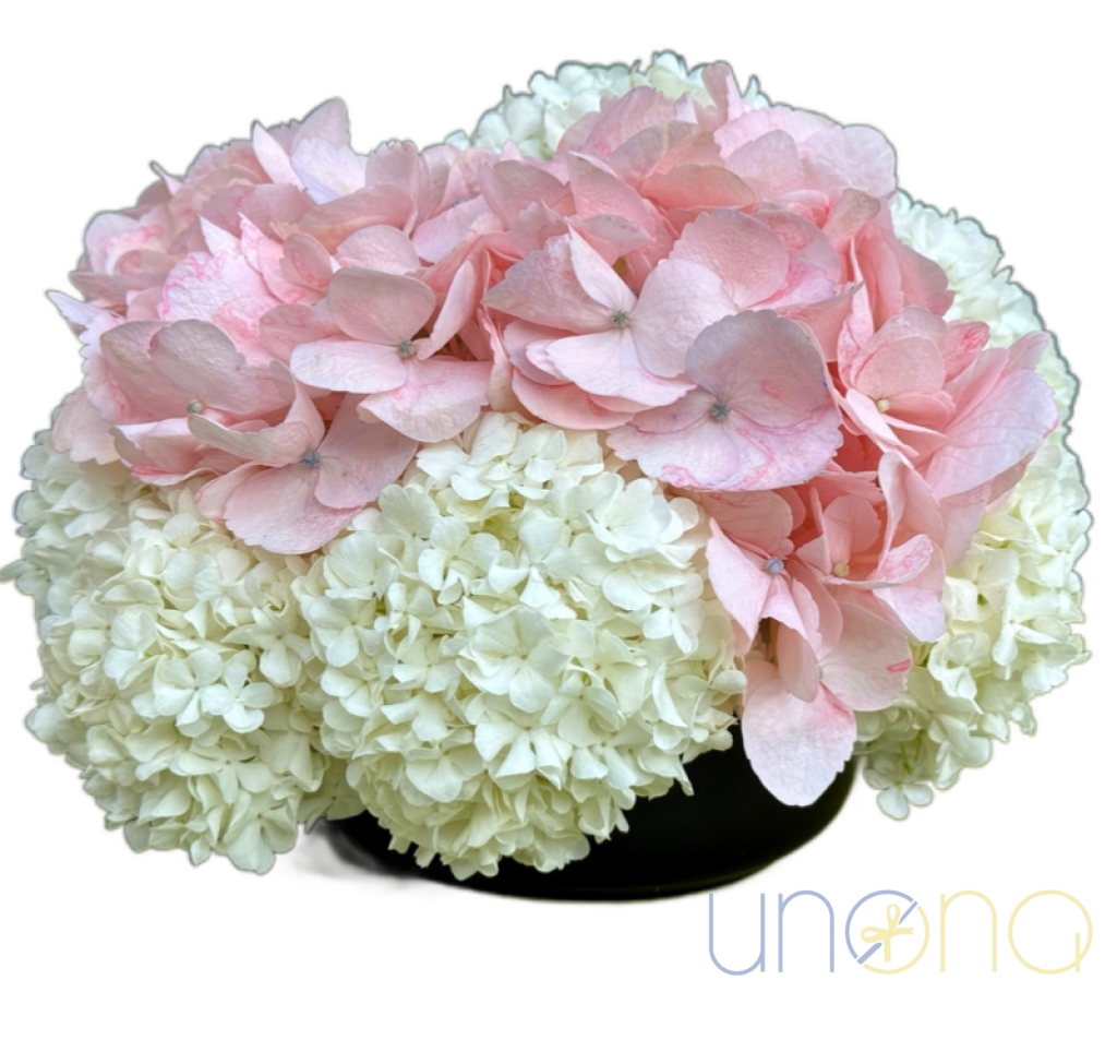 Hydrangea arrangement for delivery in Ukraine
