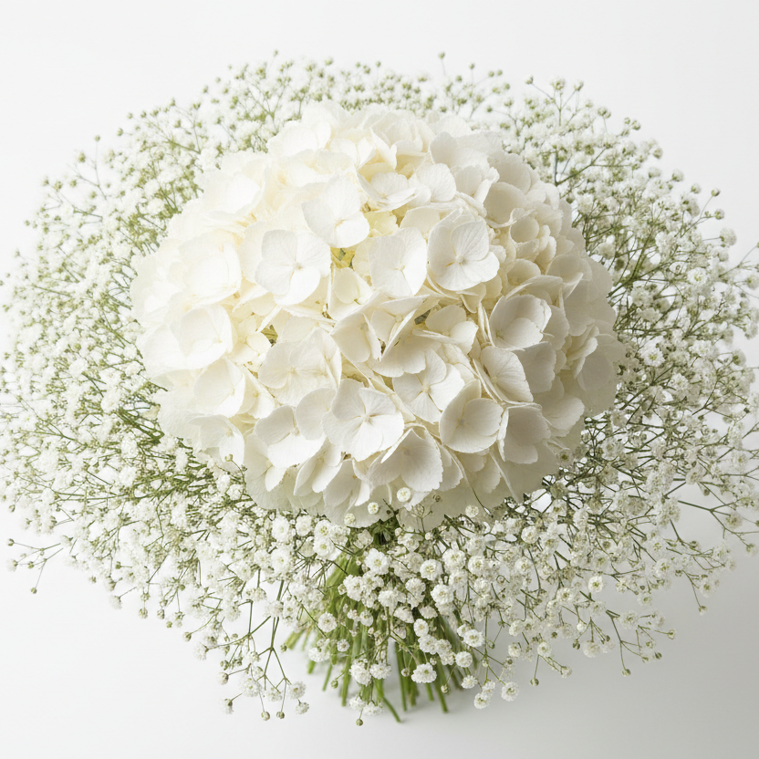 Elegant white hydrangea bouquet with baby’s breath