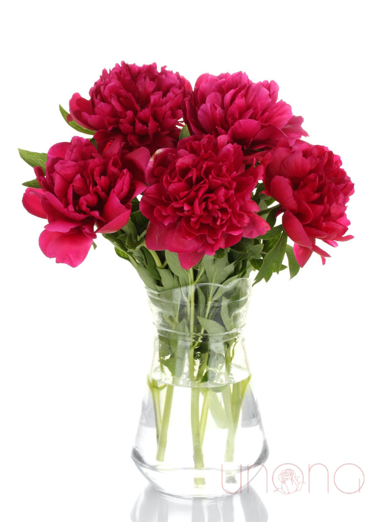 Lovely Peonies Bouquet Red / Regular: Fresh Quality Flowers By Occasion