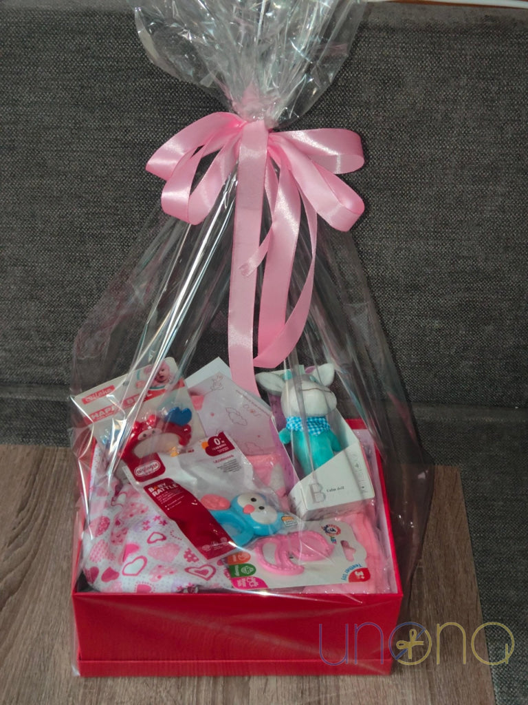 Newborn Baby Gift Box for a Girl Toys