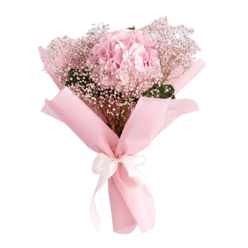 Pink hydrangea bouquet with baby’s breath wrapped in pastel pink paper