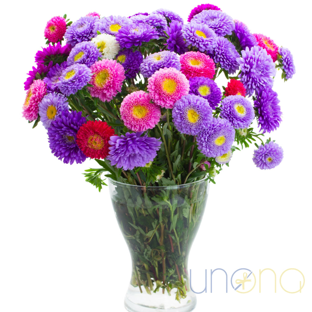 Pure Happiness Bouquet – 45 pink & violet asters with greens – send flowers to Ukraine