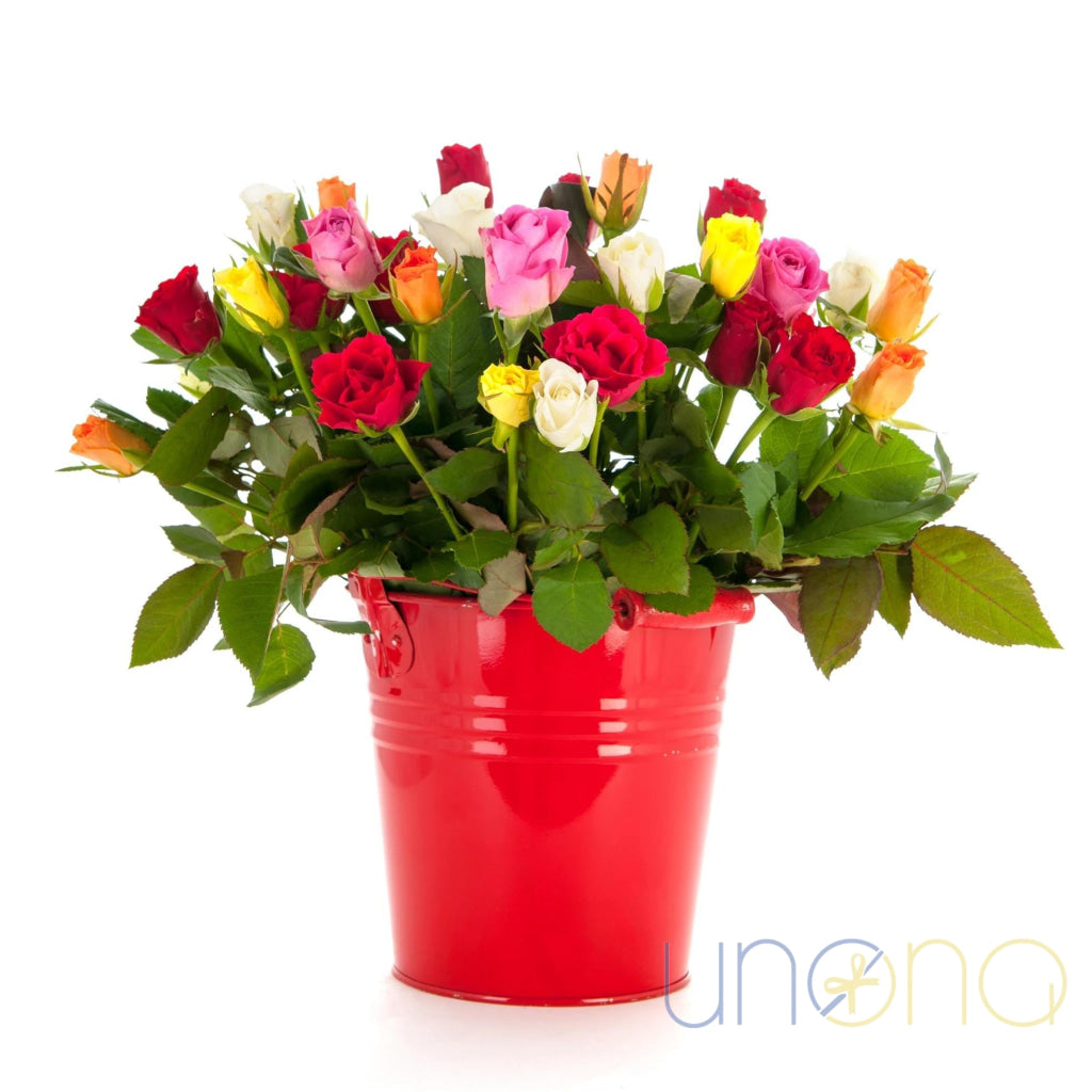 Rainbow Discovery Bouquet | Ukraine Gift Delivery.