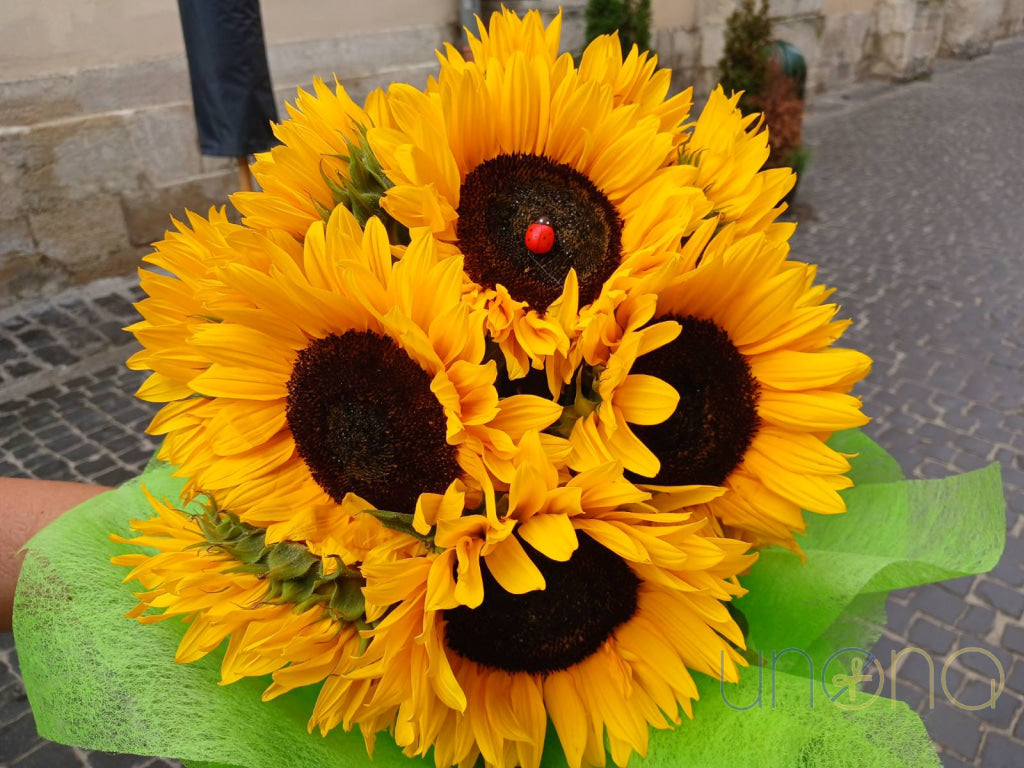 15 fresh sunflowers to send to someone in Ukraine