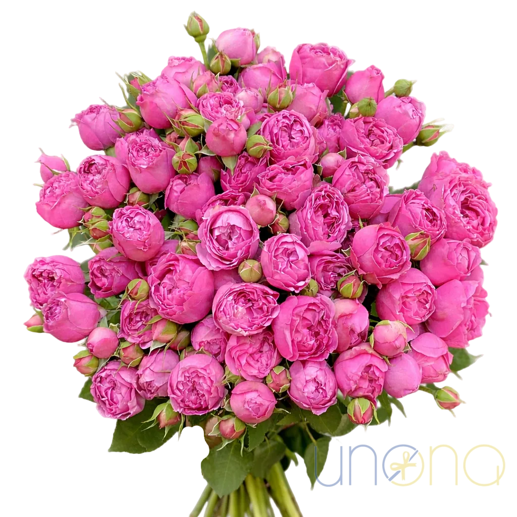 send peony roses to Ukrainian woman