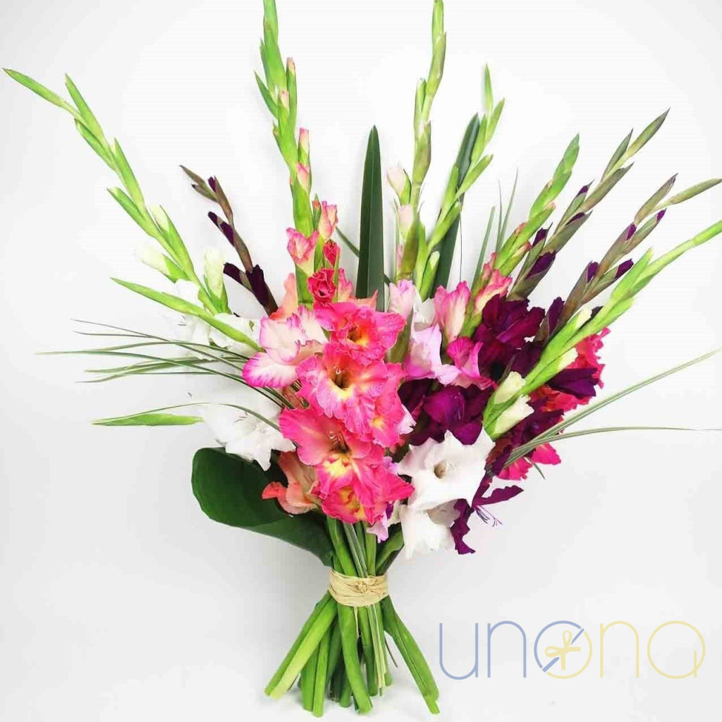 Gladiolus bouquet for Knowledge Day, name days, and birthdays in Ukraine