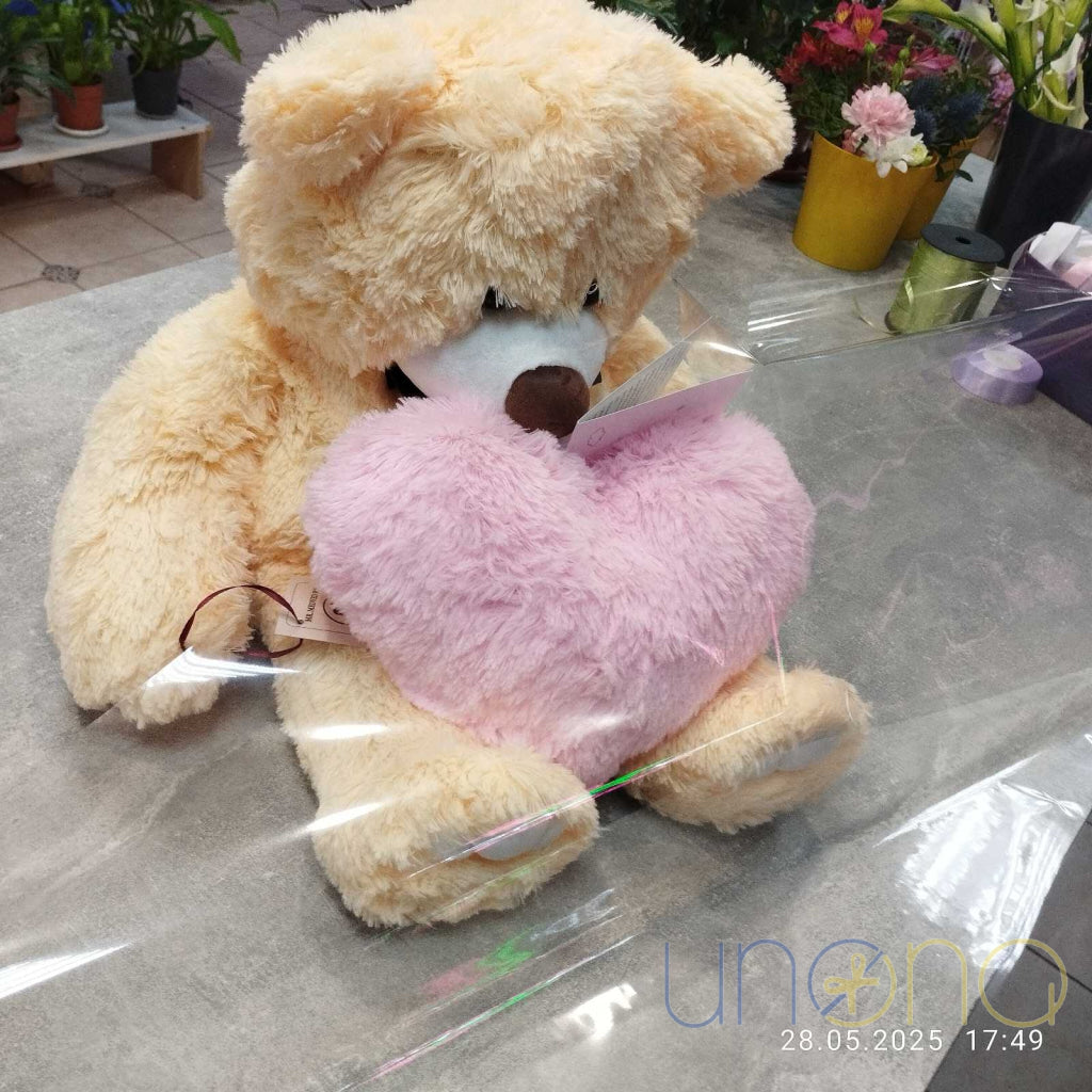 Sweetheart Teddy Bear Teddy bear