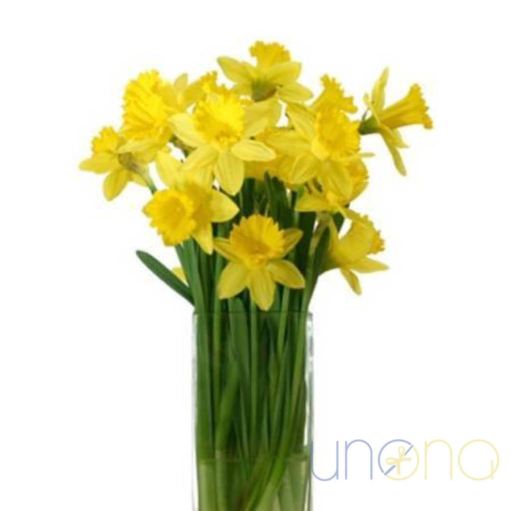 15 yellow daffodils bouquet in glass vase – spring flower delivery Ukraine