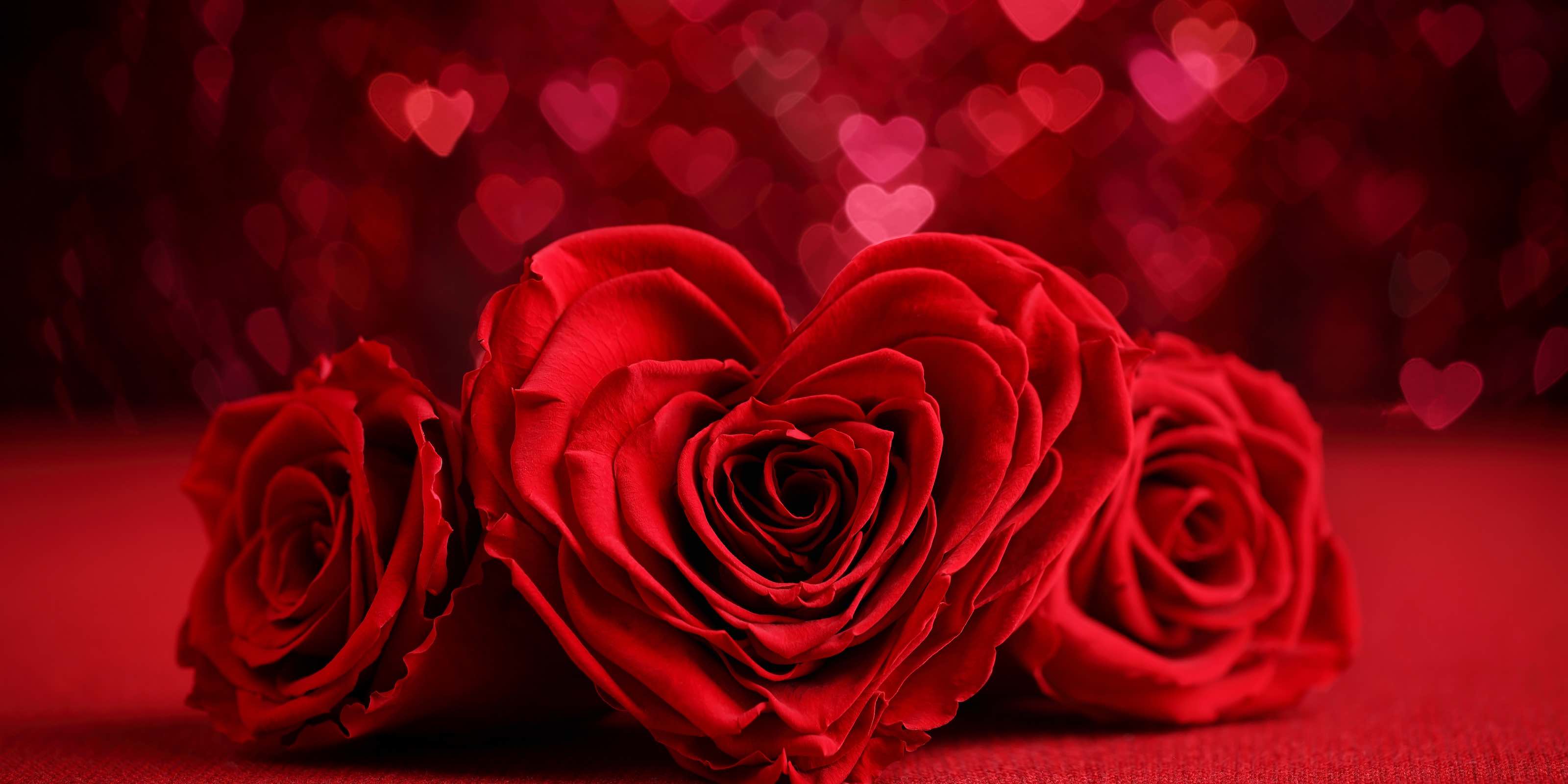 Ukraine flower delivery