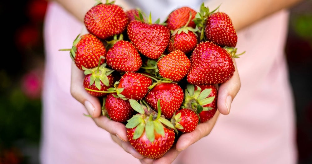 Strawberry gifts and flowers delivery in Ukraine