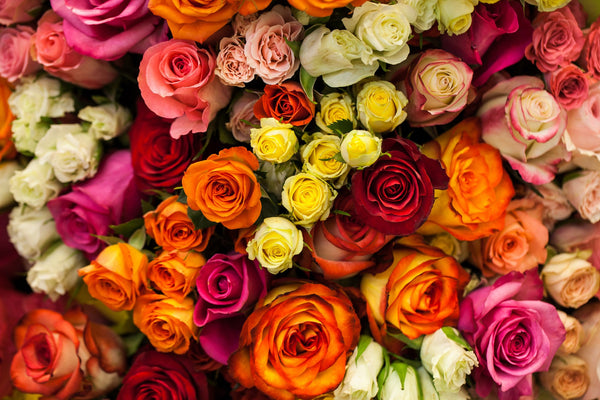 What do different colours of roses mean in Ukraine?