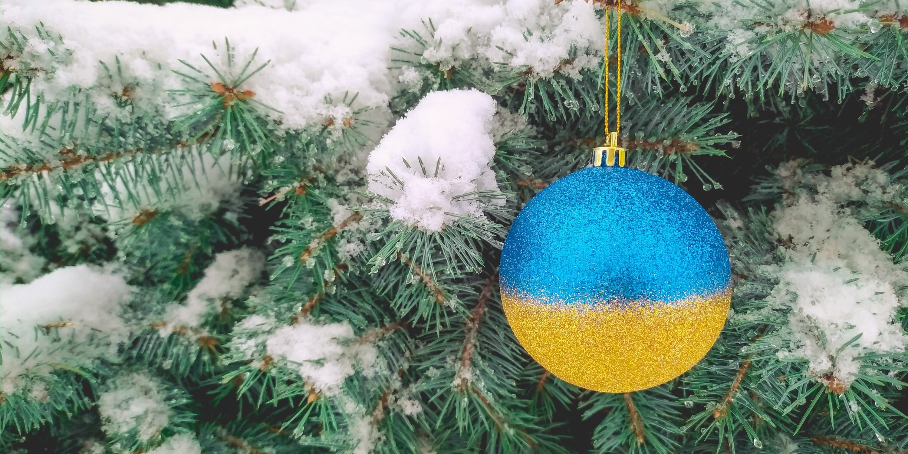 Top Christmas Gift Ideas 2025: What to Send to Ukraine